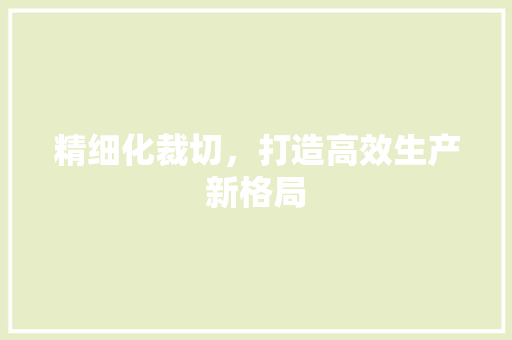 精细化裁切，打造高效生产新格局 写作技巧