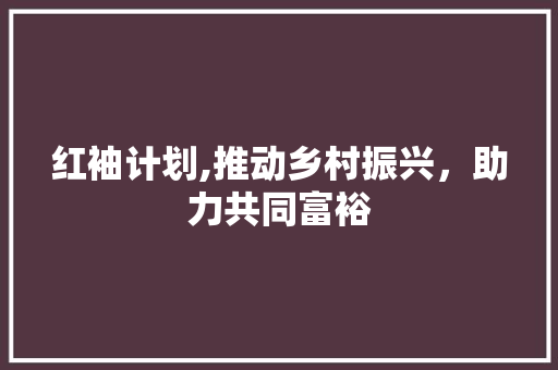 红袖计划,推动乡村振兴，助力共同富裕 简历模板