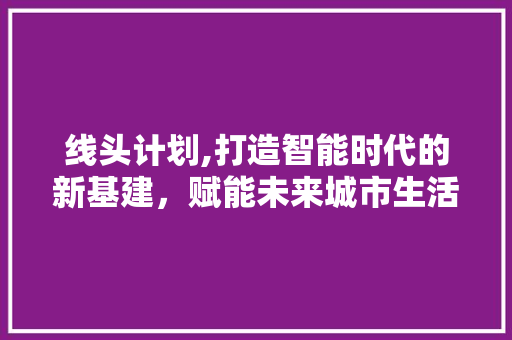 线头计划,打造智能时代的新基建，赋能未来城市生活