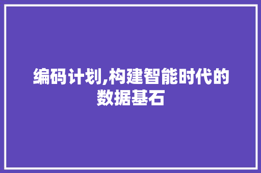 编码计划,构建智能时代的数据基石