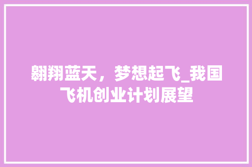 翱翔蓝天，梦想起飞_我国飞机创业计划展望