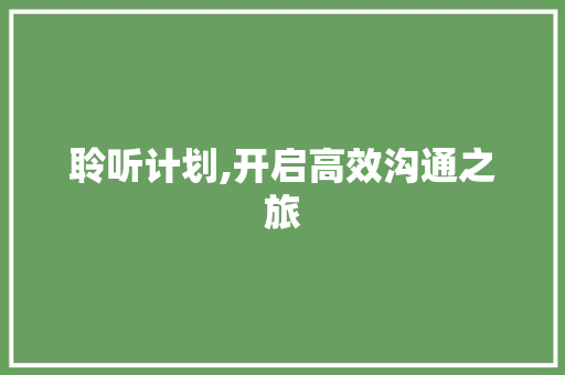 聆听计划,开启高效沟通之旅 写作技巧