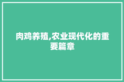 肉鸡养殖,农业现代化的重要篇章