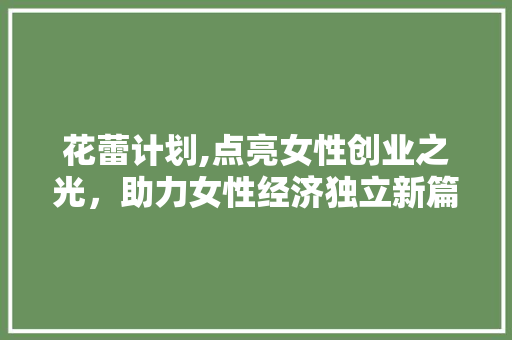 花蕾计划,点亮女性创业之光，助力女性经济独立新篇章 范文赏析