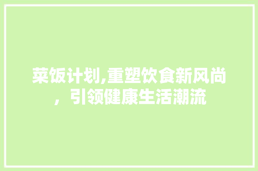 菜饭计划,重塑饮食新风尚，引领健康生活潮流