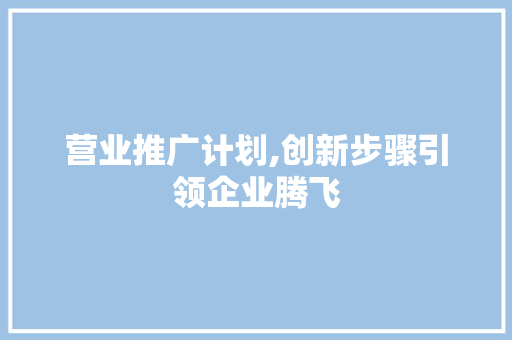 营业推广计划,创新步骤引领企业腾飞