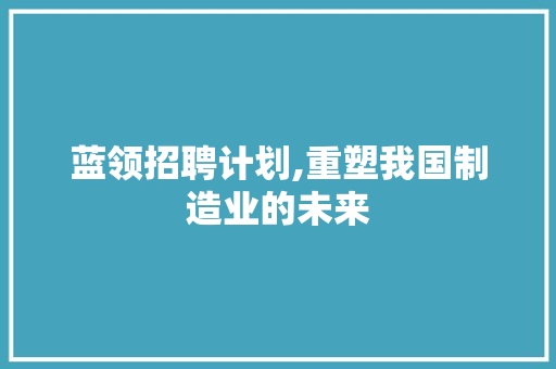 蓝领招聘计划,重塑我国制造业的未来