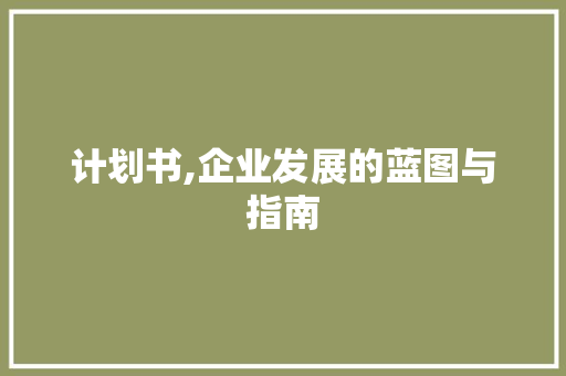 计划书,企业发展的蓝图与指南