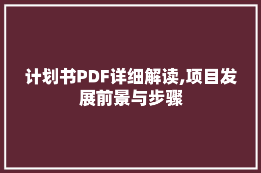 计划书PDF详细解读,项目发展前景与步骤