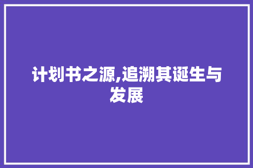 计划书之源,追溯其诞生与发展
