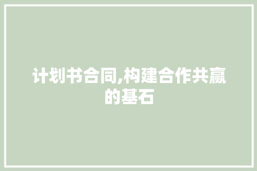 计划书合同,构建合作共赢的基石