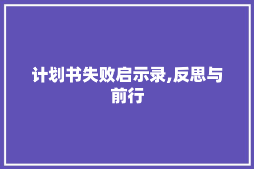 计划书失败启示录,反思与前行