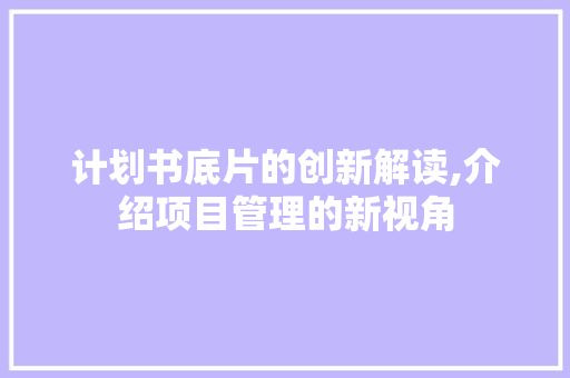 计划书底片的创新解读,介绍项目管理的新视角