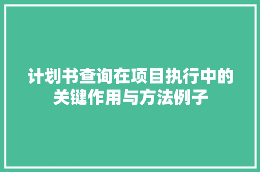 计划书查询在项目执行中的关键作用与方法例子