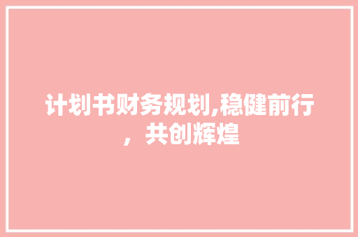 计划书财务规划,稳健前行，共创辉煌