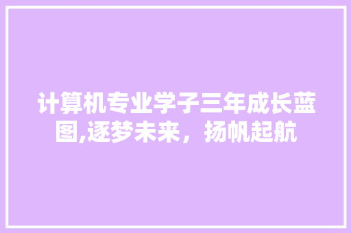 计算机专业学子三年成长蓝图,逐梦未来，扬帆起航