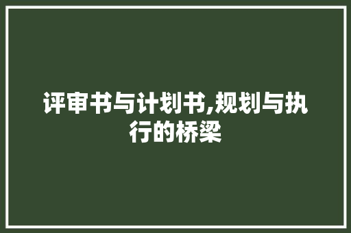 评审书与计划书,规划与执行的桥梁 诗歌创作