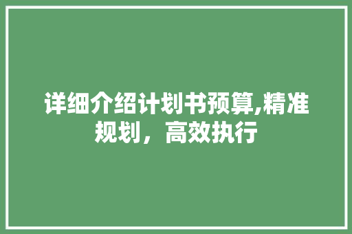 详细介绍计划书预算,精准规划，高效执行
