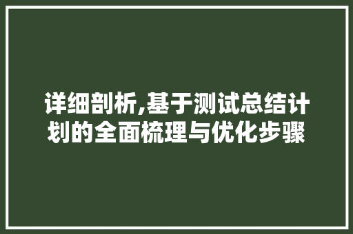 详细剖析,基于测试总结计划的全面梳理与优化步骤