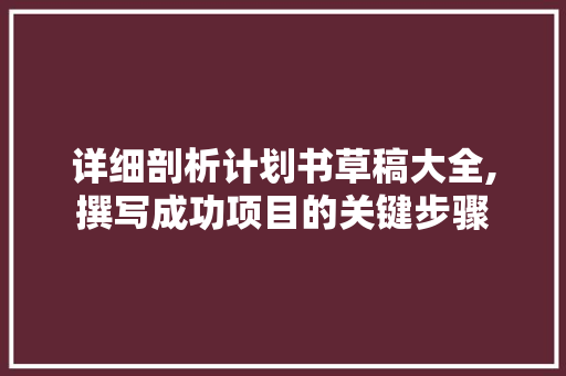 详细剖析计划书草稿大全,撰写成功项目的关键步骤