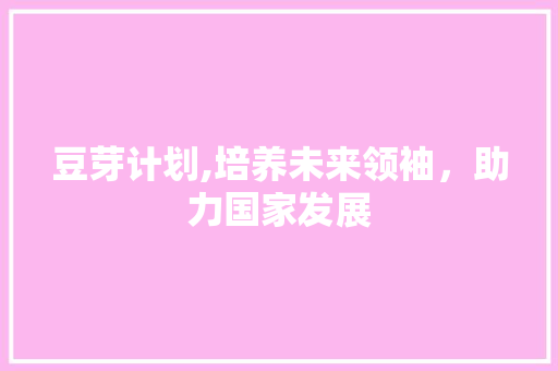 豆芽计划,培养未来领袖，助力国家发展 写作社区