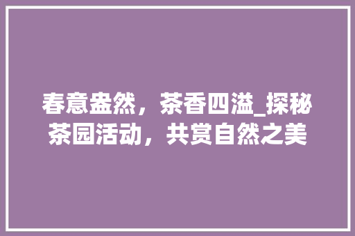 春意盎然，茶香四溢_探秘茶园活动，共赏自然之美