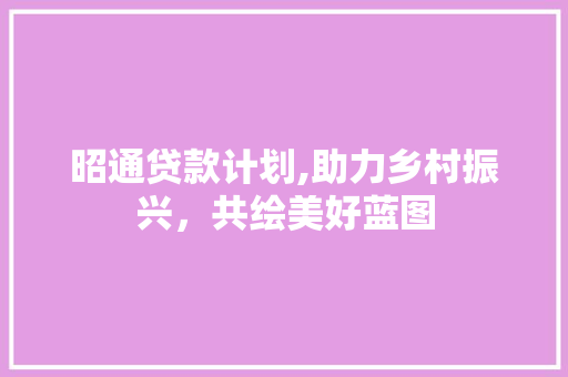 昭通贷款计划,助力乡村振兴，共绘美好蓝图