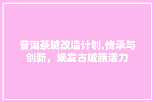 普洱茶城改造计划,传承与创新，焕发古城新活力