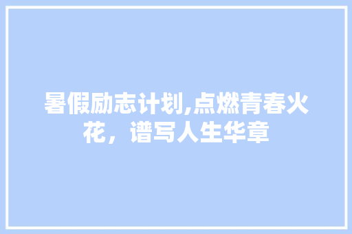 暑假励志计划,点燃青春火花，谱写人生华章