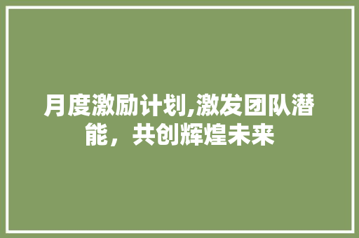 月度激励计划,激发团队潜能，共创辉煌未来
