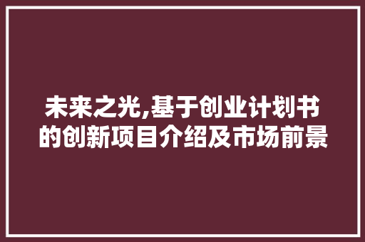 未来之光,基于创业计划书的创新项目介绍及市场前景展望