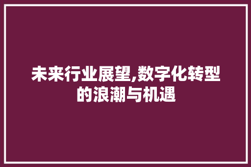 未来行业展望,数字化转型的浪潮与机遇