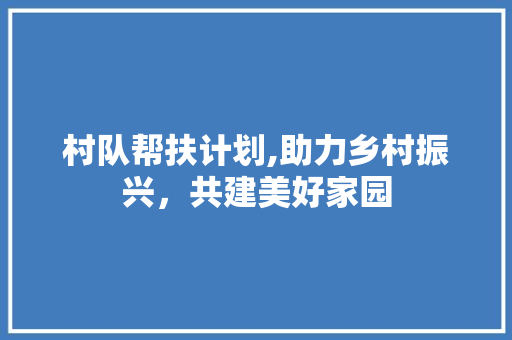 村队帮扶计划,助力乡村振兴，共建美好家园