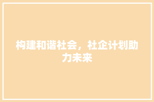 构建和谐社会，社企计划助力未来 写作素材