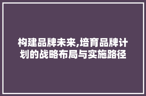构建品牌未来,培育品牌计划的战略布局与实施路径