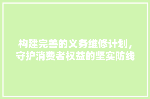 构建完善的义务维修计划，守护消费者权益的坚实防线
