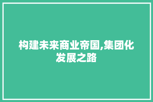 构建未来商业帝国,集团化发展之路