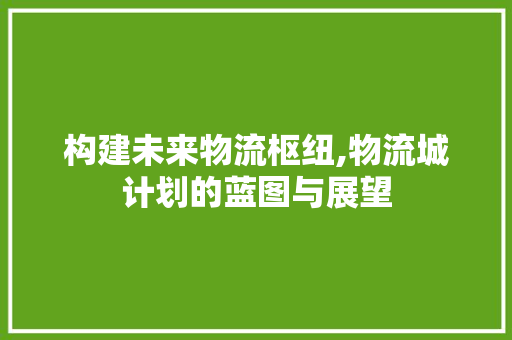 构建未来物流枢纽,物流城计划的蓝图与展望