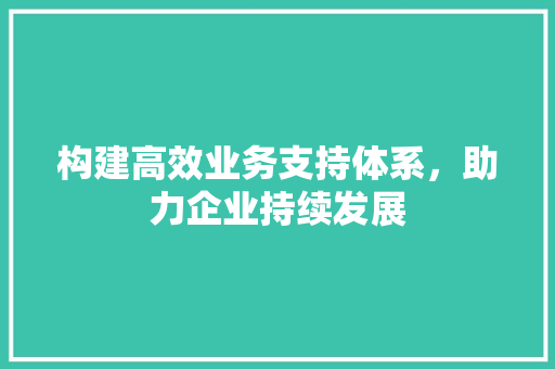 构建高效业务支持体系，助力企业持续发展