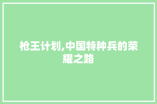 枪王计划,中国特种兵的荣耀之路