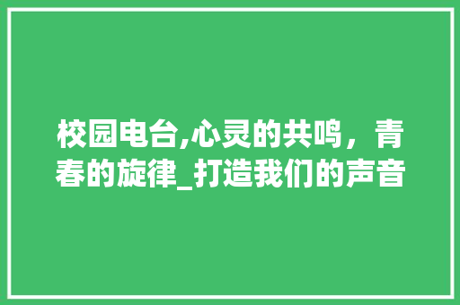 校园电台,心灵的共鸣，青春的旋律_打造我们的声音家园