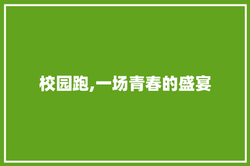 校园跑,一场青春的盛宴