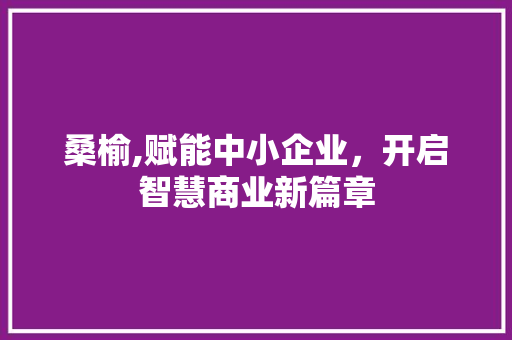 桑榆,赋能中小企业，开启智慧商业新篇章