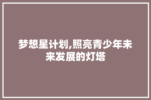 梦想星计划,照亮青少年未来发展的灯塔