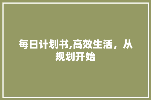 每日计划书,高效生活，从规划开始