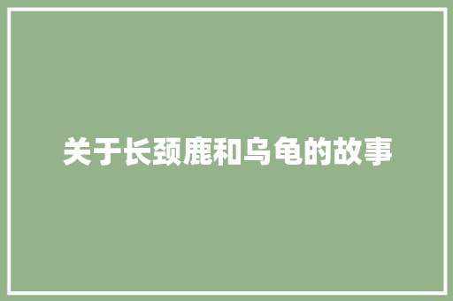 关于长颈鹿和乌龟的故事 报告写作