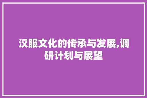 汉服文化的传承与发展,调研计划与展望