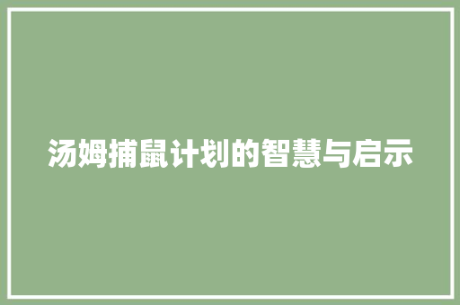 汤姆捕鼠计划的智慧与启示 写作素材