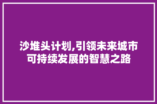 沙堆头计划,引领未来城市可持续发展的智慧之路