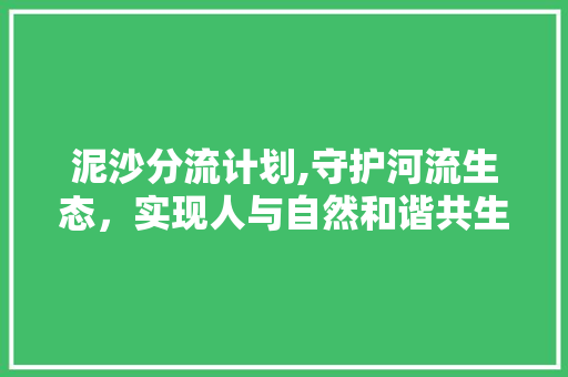 泥沙分流计划,守护河流生态，实现人与自然和谐共生